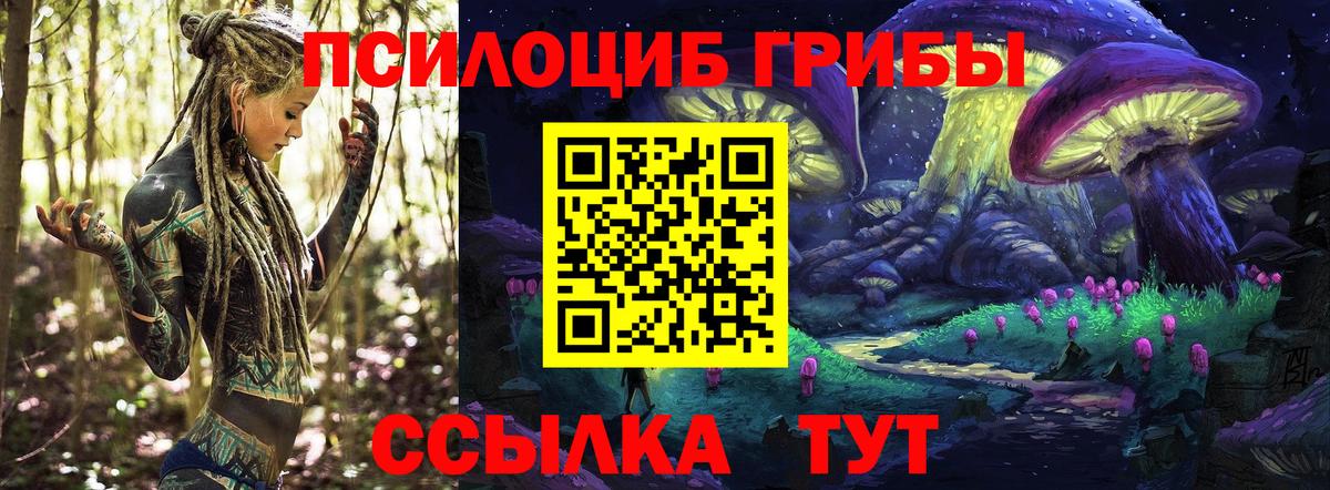Галлюциногенные грибы мицелий  Вход с VPN  Усинск 